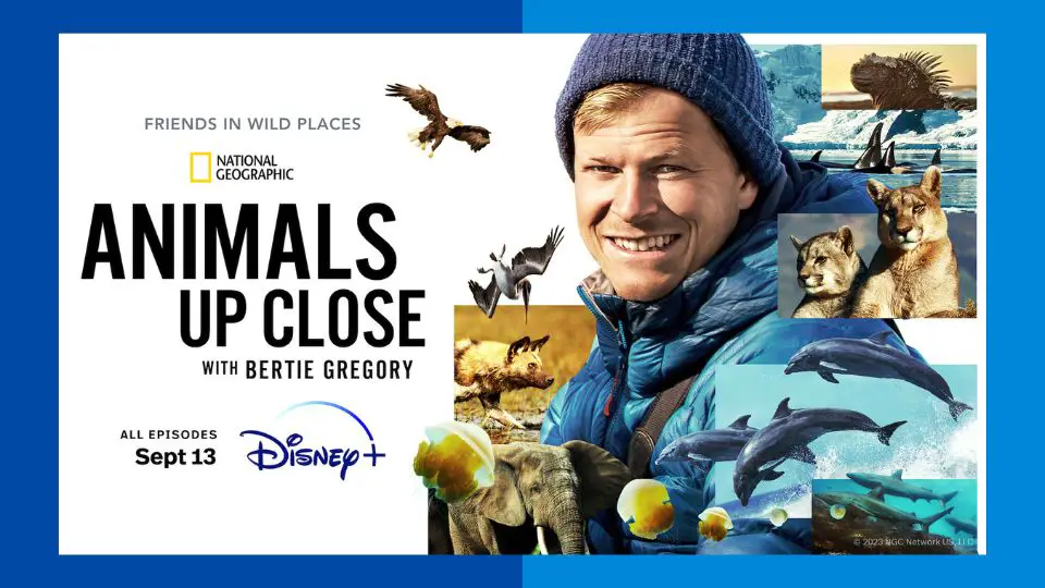 ANIMALS UP CLOSE WITH BERTIE GREGORY Renewed for Second Season