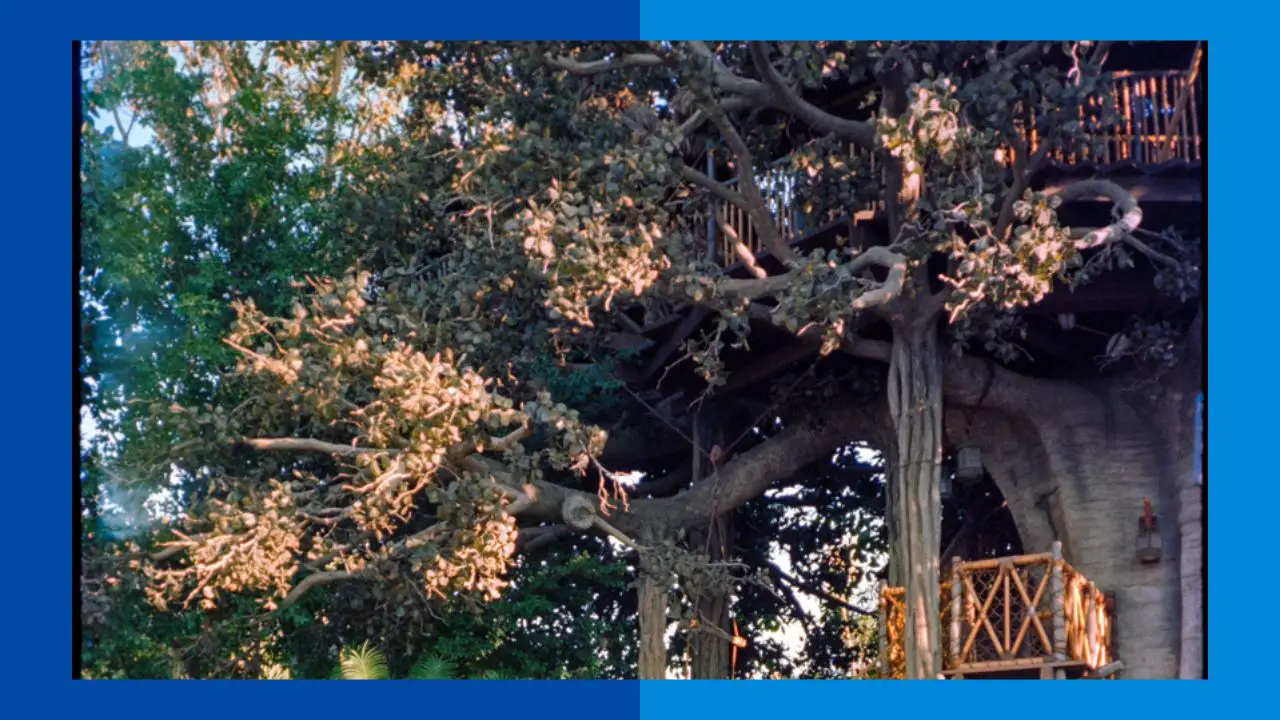 Swiss Family Robinson Treehouse 30 Years Ago at Disneyland