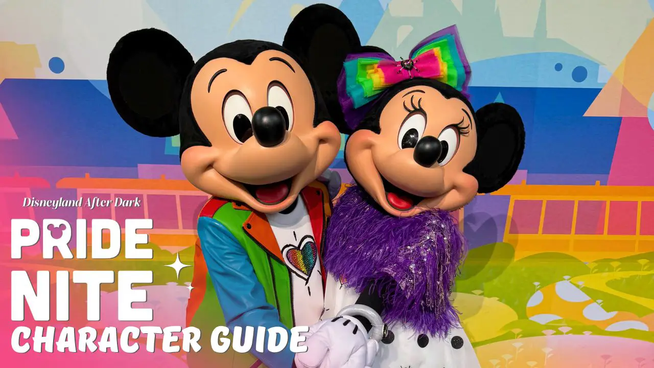 Character Guide: Disneyland After Dark Pride Nite