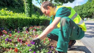 Disneyland Paris Shares About Flowerbeds Transformation for Summer