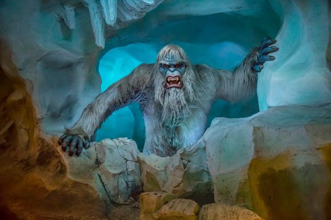 Abominable Snowman of Matterhorn Bobsleds, Disneyland attraction