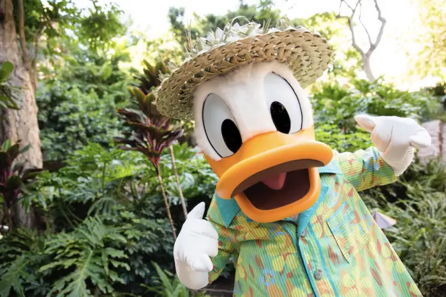 Donald Duck at Aulani