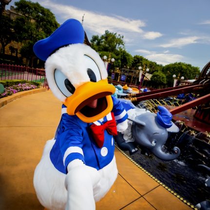 Donald Duck by Dumbo attraction