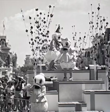 Donald Duck in parade, celebrating - vintage photo