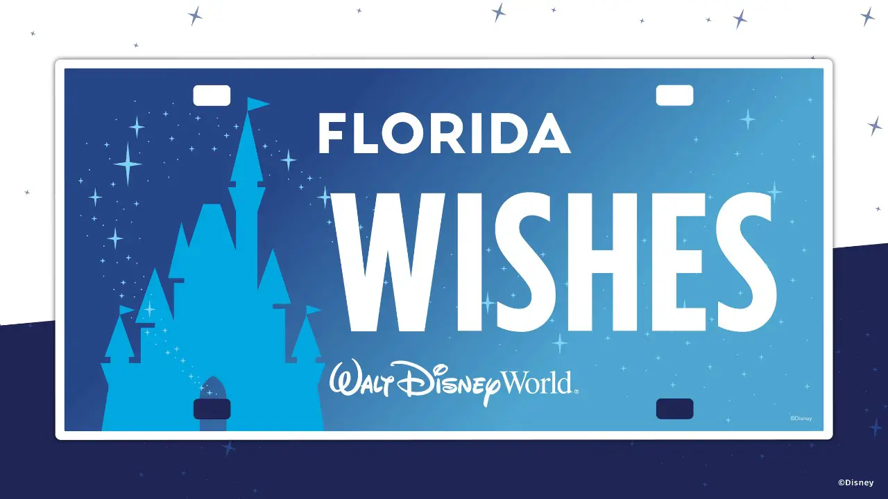 Florida Wishes License Plate