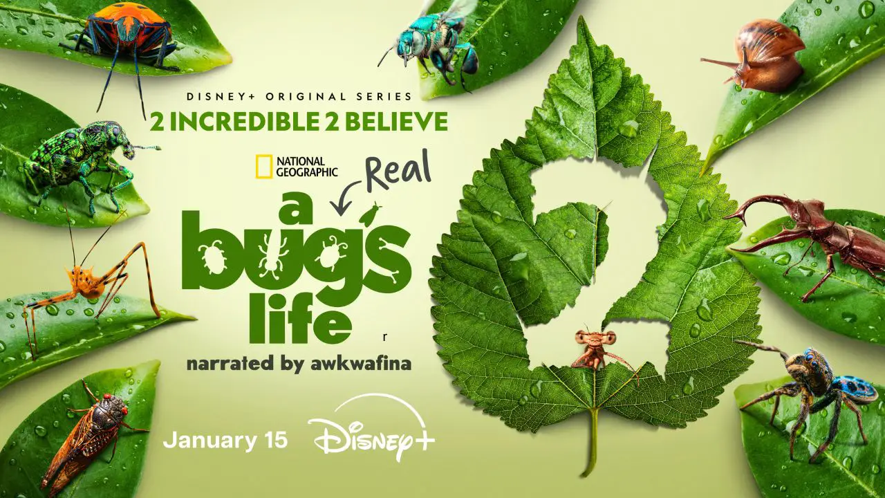 New Season of ‘A Real Bug’s Life’ Heading to Disney+ in January