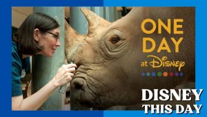 One Day at Disney | DISNEY THIS DAY | December 3, 2019