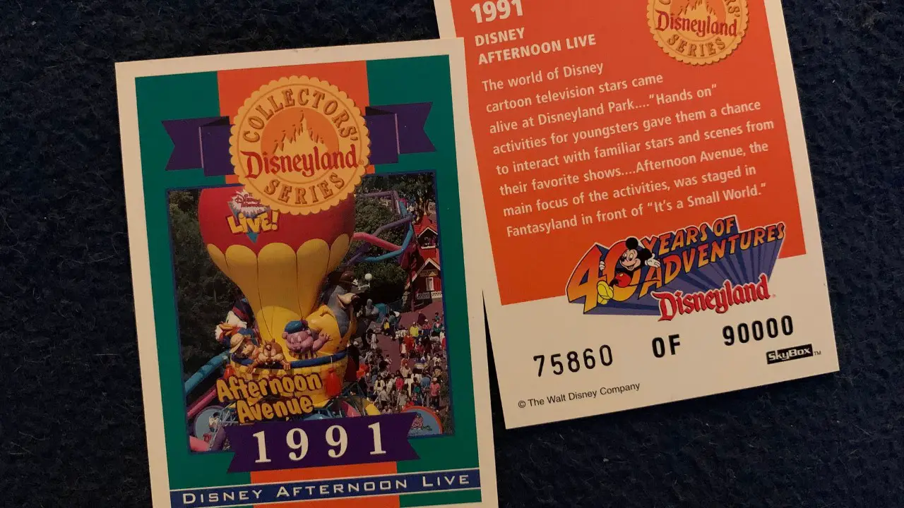 A Gift For You – 30 Years Ago at Disneyland