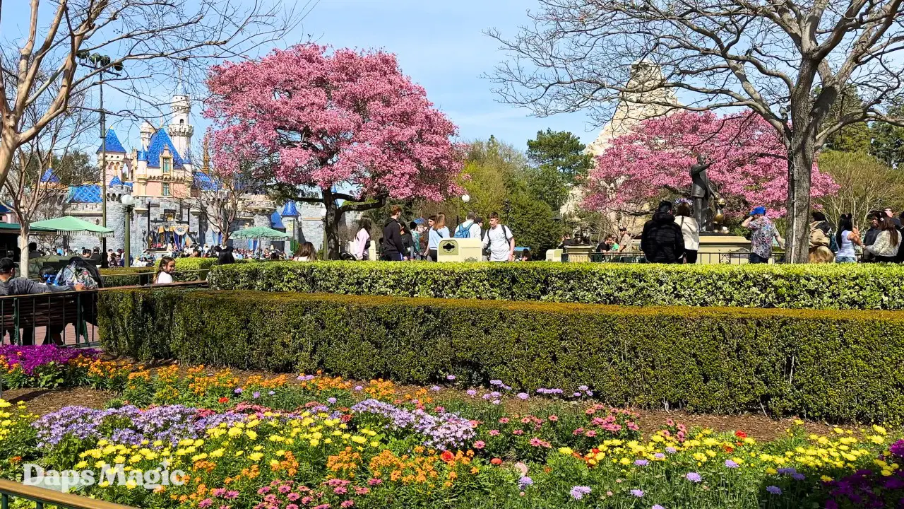 Springtime Arrives at Disneyland!