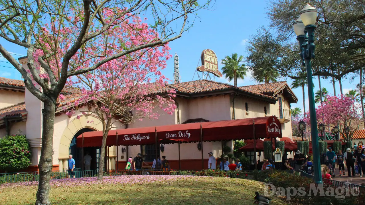 Disney Provides Look at Hollywood Brown Derby’s New Menu Items