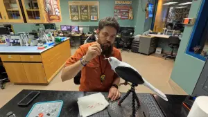 Disney Uses Fake Fowl for Conservation at Disney Lookout Cay 