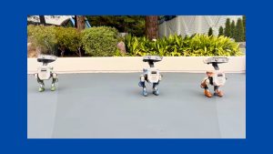 BDX Droids Arrive at Tokyo Disneyland