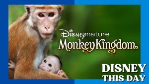 Monkey Kingdom | DISNEY THIS DAY | April 17, 2015