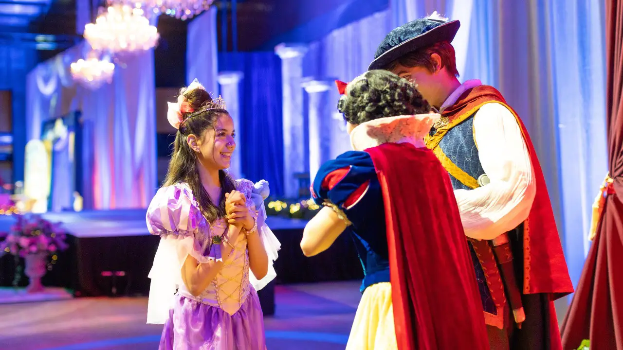 Once Upon a Wish Party