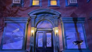 ‘Secrets of Penguins’ Photo Op Appears at Disney California Adventure