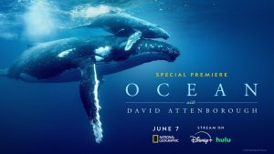 Trailer Released For ‘Ocean with David Attenborough’