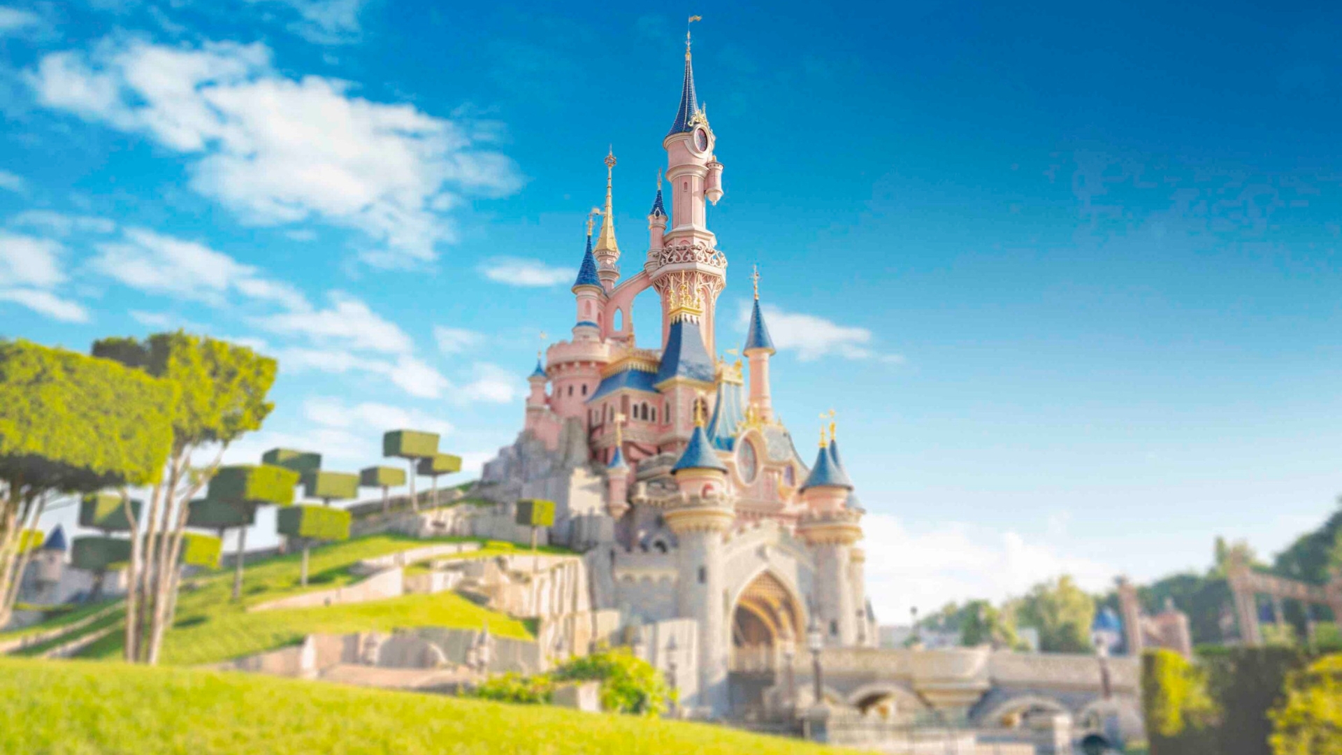 Disneyland Paris Highlights Photographers on World Photography Day