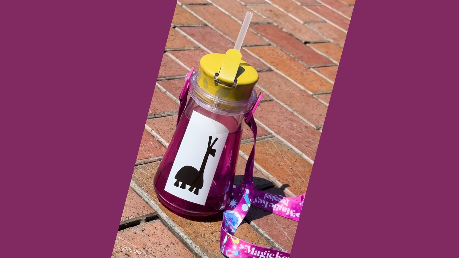 Details About Sales Magic Key Kuzco’s Poison Sipper Released by Disneyland Resort