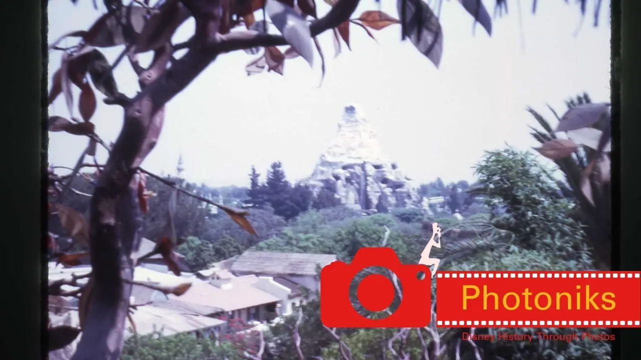 Up a Tree – Photoniks – Episode 3