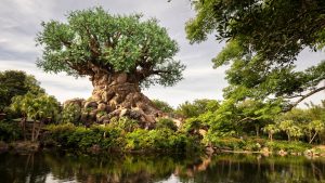 Dianey's Animal Kingdom Walt Disney World Resort