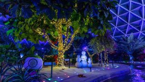 Living with the Land - Glimmering Greenhouses