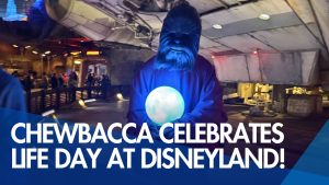 Chewbacca Celebrates Life Day at Disneyland