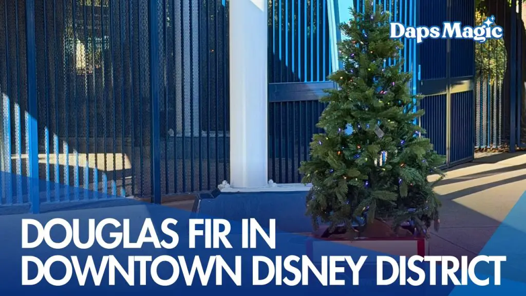 Douglas Fir in Downtown Disney District