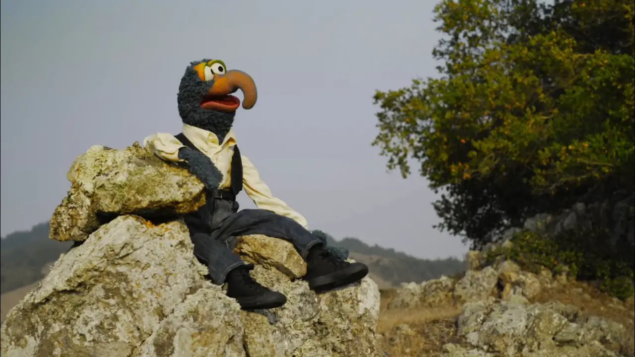 Gonzo Performs I'm Going to Go Back There Someday