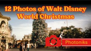 12 Photos of Walt Disney World Christmas