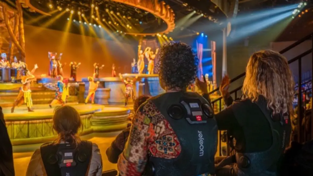 Disneyland Paris Vibrating Vests