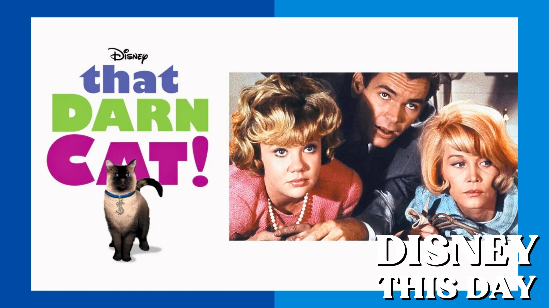 That Darn Cat | DISNEY THIS DAY | December 2, 1965