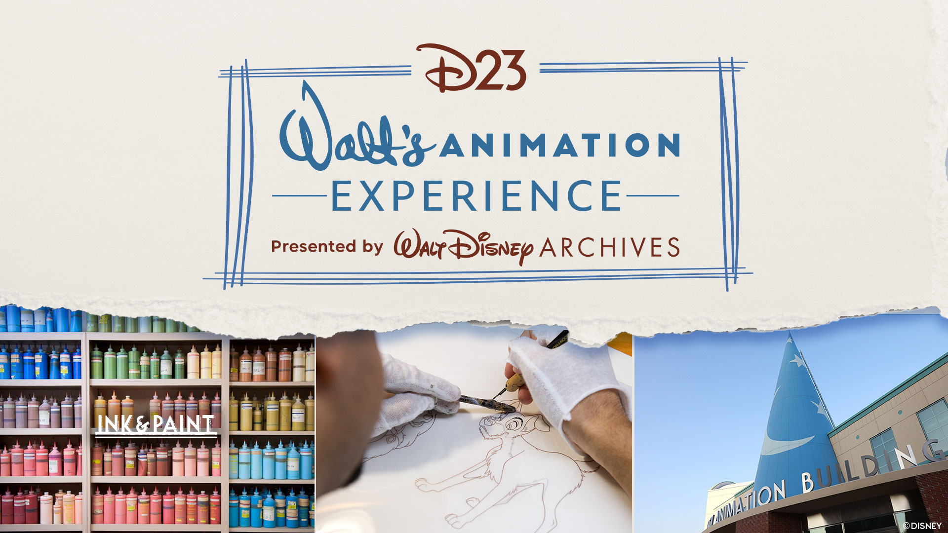 Walt's Animation Experience