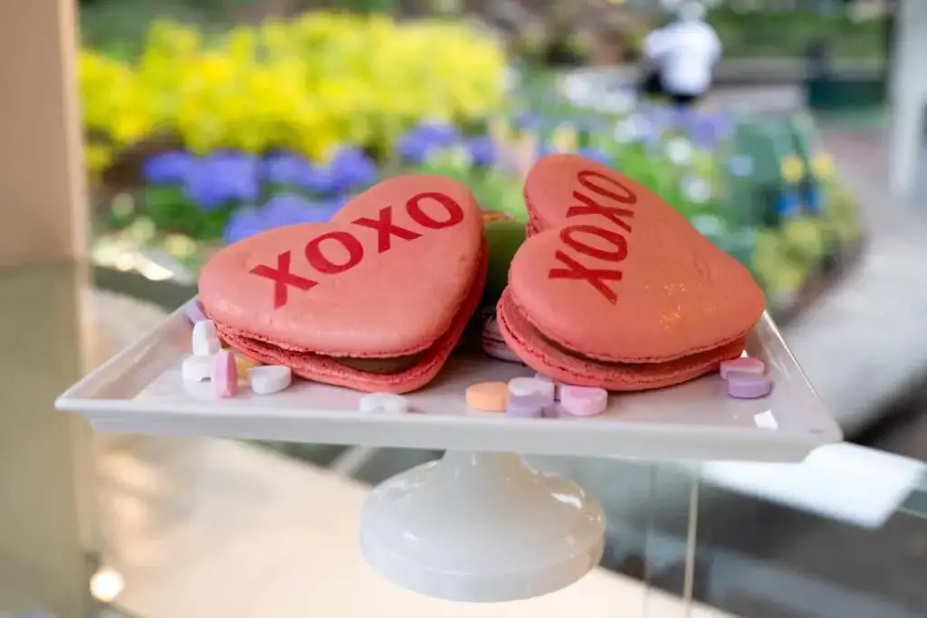 Downtown Disney District Valentine's Day Offerings