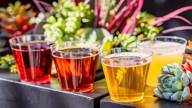 Paradise Beer Garden Beverage