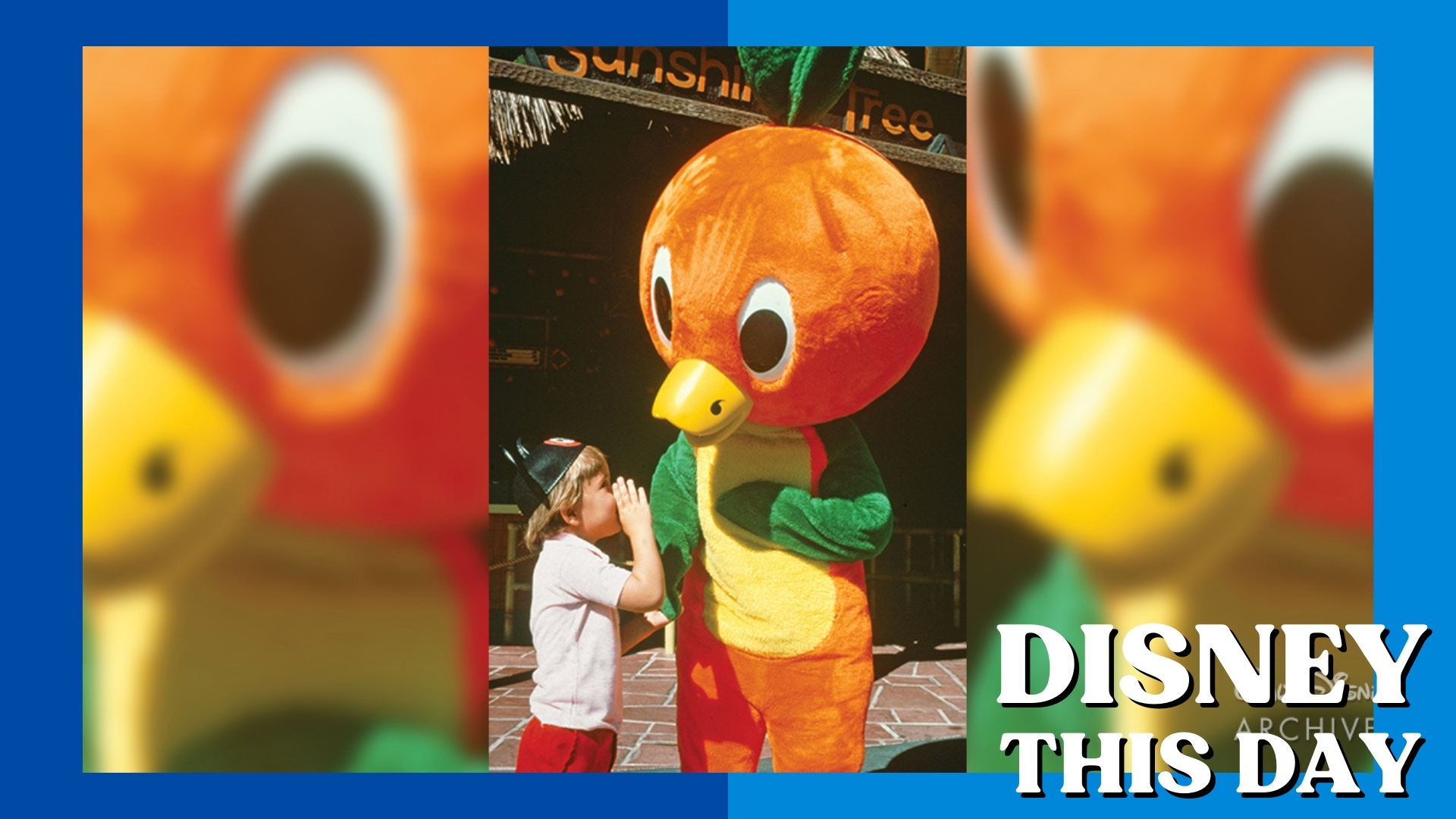Orange Bird | DISNEY THIS DAY | March 3, 1971