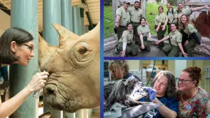 Walt Disney World Shares Look at How Animals Are Cared for at Disney’s Animal Kingdom