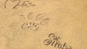 Disney Characters Leave Their Mark on Walt Disney Studios Courtyard at Disney’s Hollywood Studios