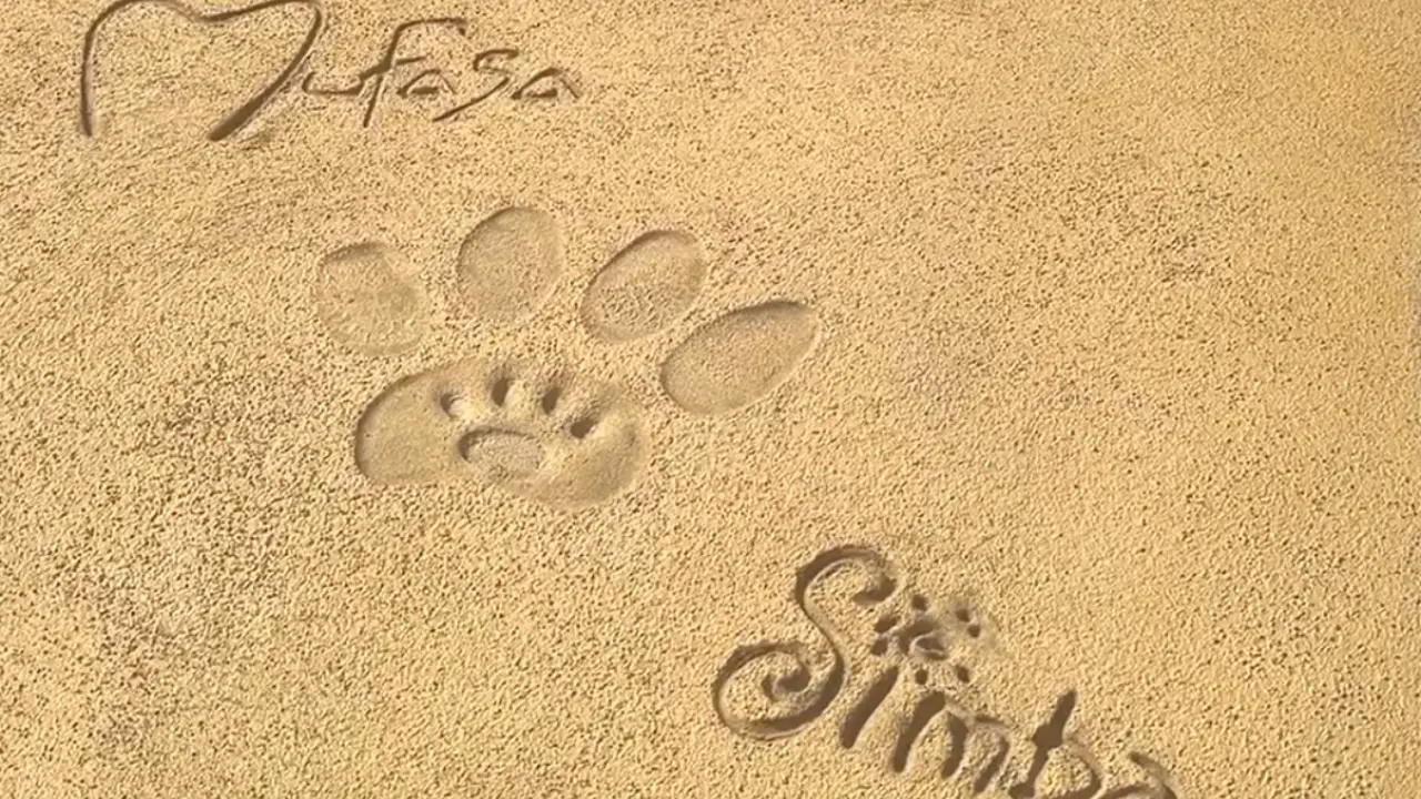 Disney Characters Leave Their Mark on Walt Disney Studios Courtyard at Disney’s Hollywood Studios