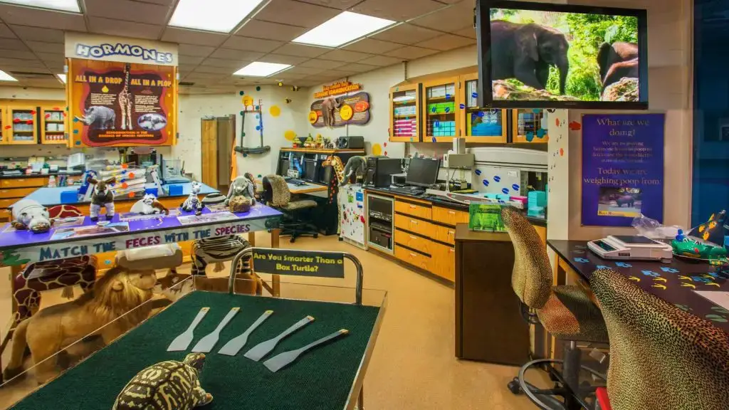 Conservation Station