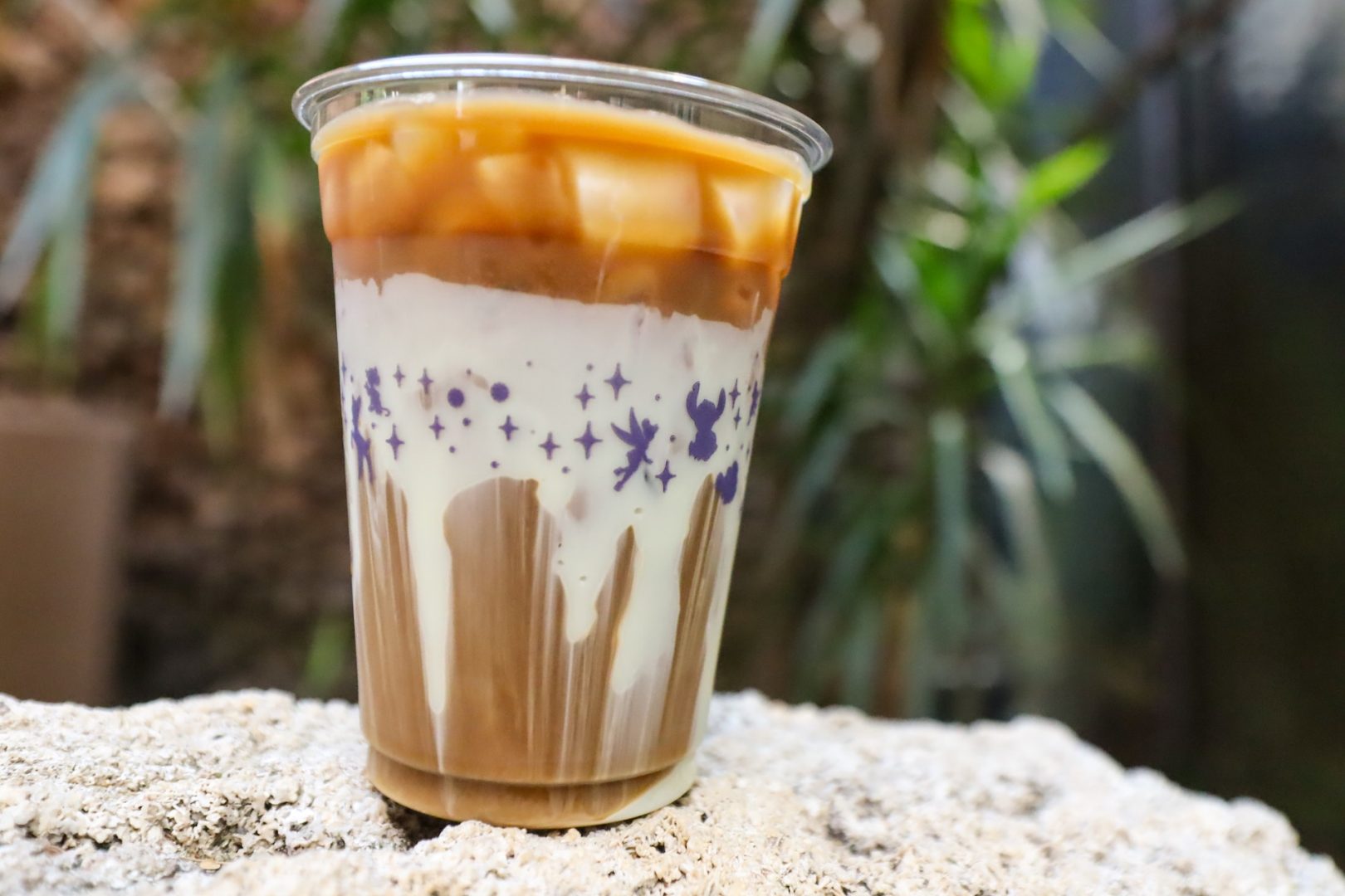 Disney's Animal Kingdom Food Cold Brew