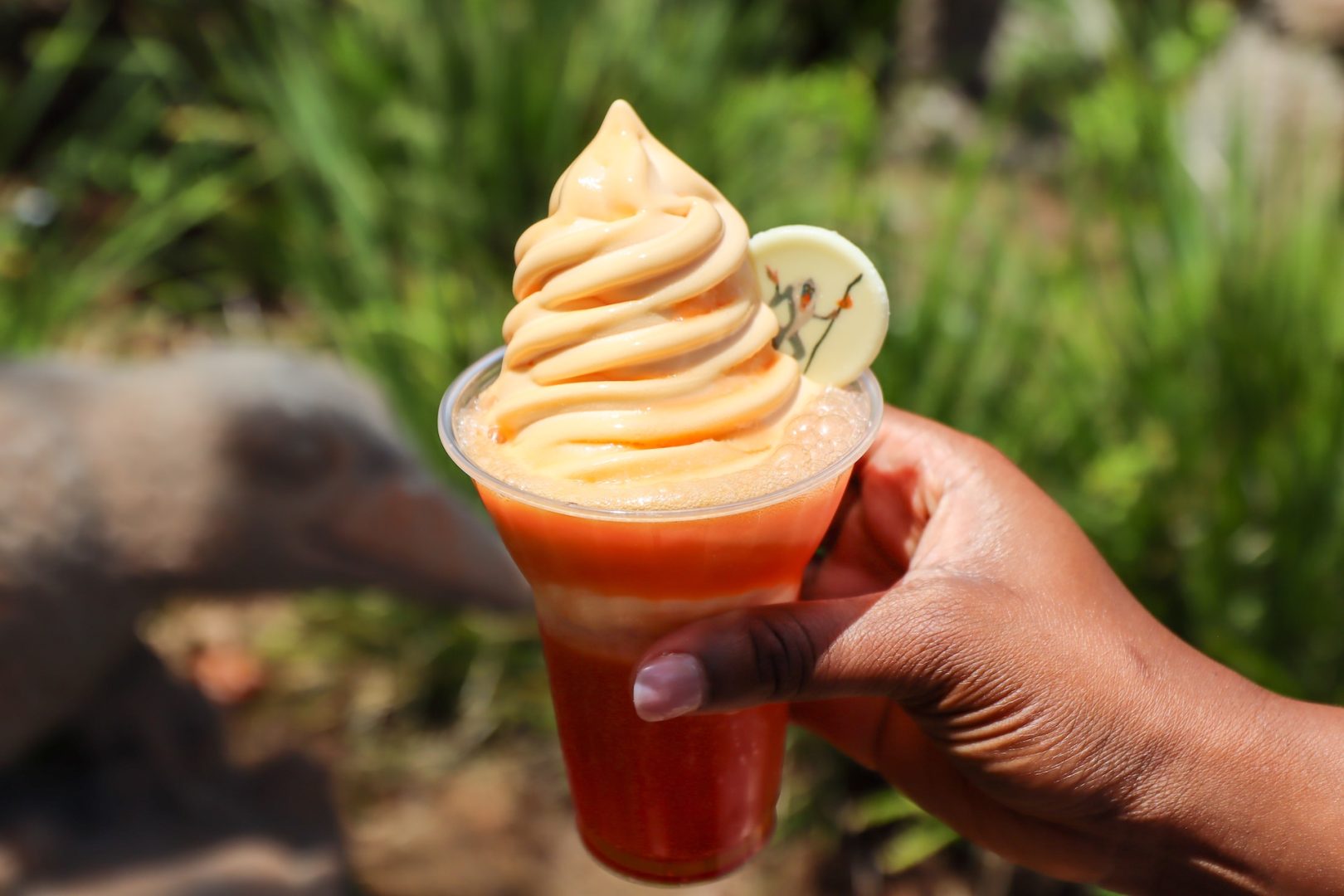 Disney's Animal Kingdom Food Dole Whip