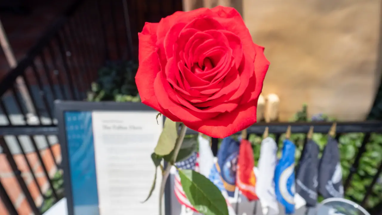 Disneyland Resort Honors Fallen Heroes For Memorial Day Weekend