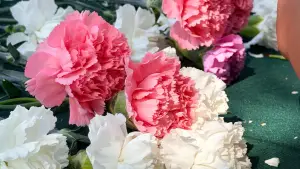 Mother’s Day Tradition Continues at Disneyland Resort