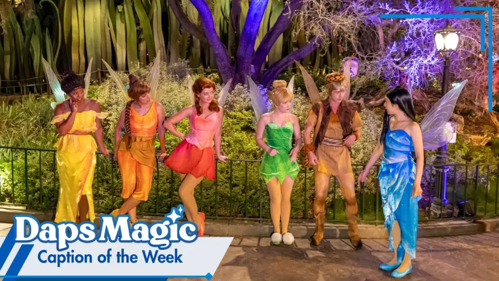 CAPTION OF THE WEEK - Tinker Bell and Fairy Friends