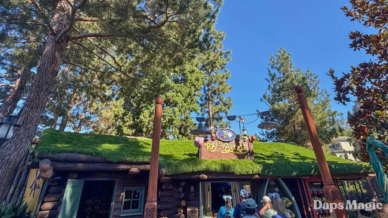 New Artificial Grass Roof Appears on Ray’s Berets at Disneyland