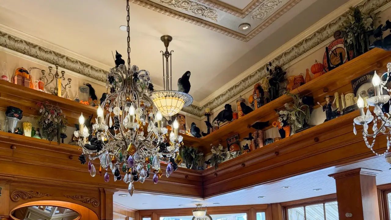 Crows Return to Fortuosity at Disneyland for Halloween Time