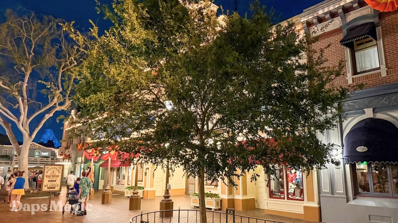 New Tree Planted on Disneyland’s Main Street, USA