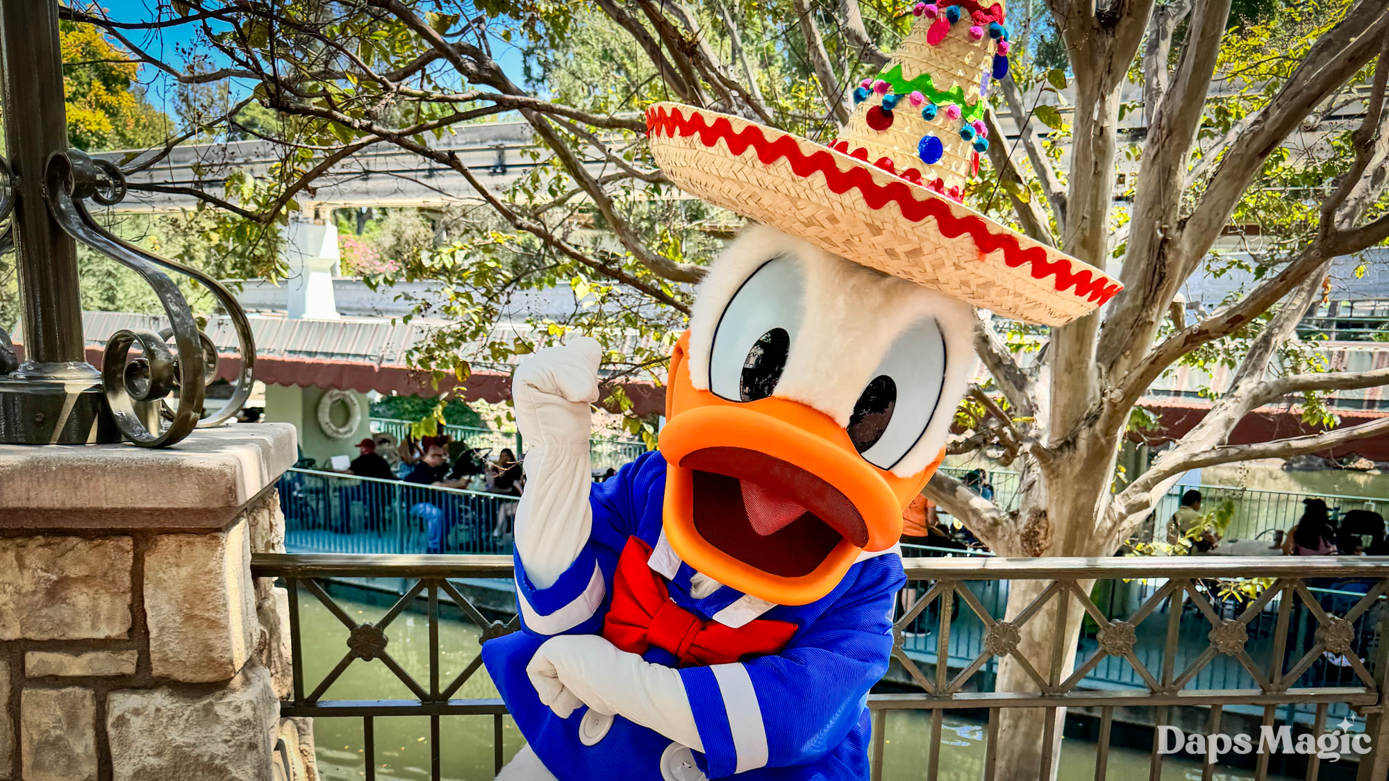 Donald Duck Makes Surprise Appearance in Sombrero at Disneyland on First Day of Hispanic and Latin American Heritage Month