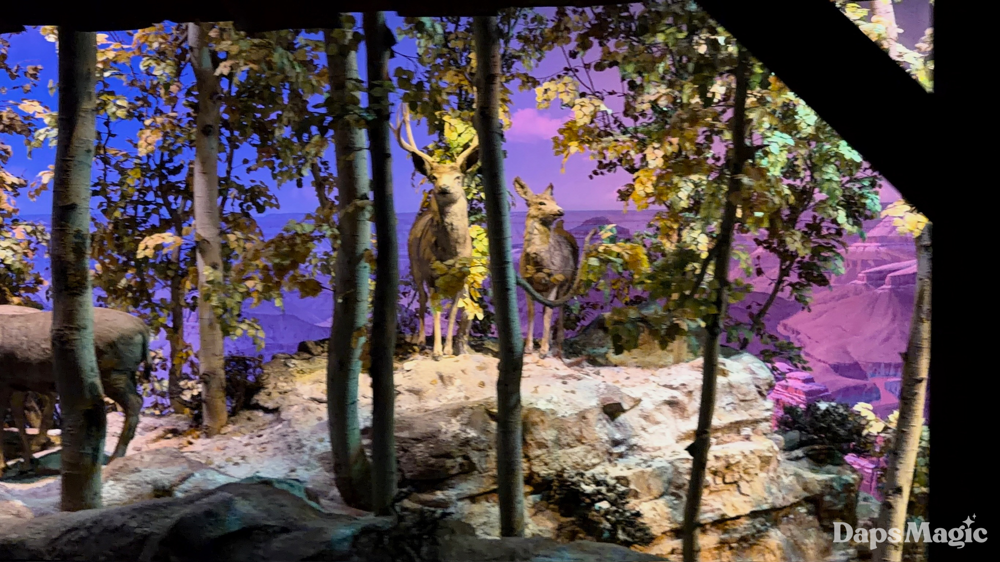 Disneyland Railroad Grand Canyon Diorama Reopens