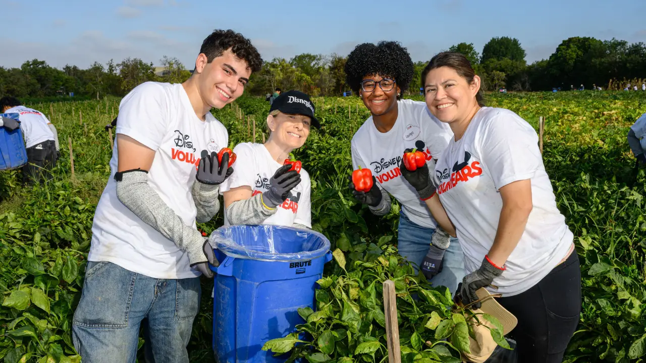 Harvesting Hope: How Disneyland Resort VoluntEARS Fight Food Insecurity in Orange County